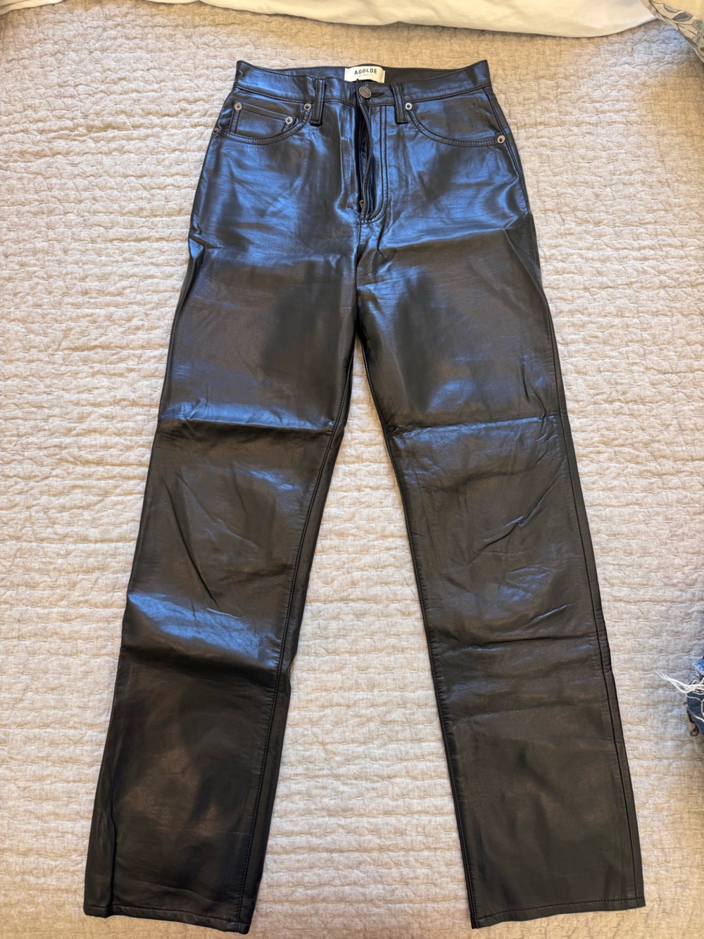 Agolde Leather Pants